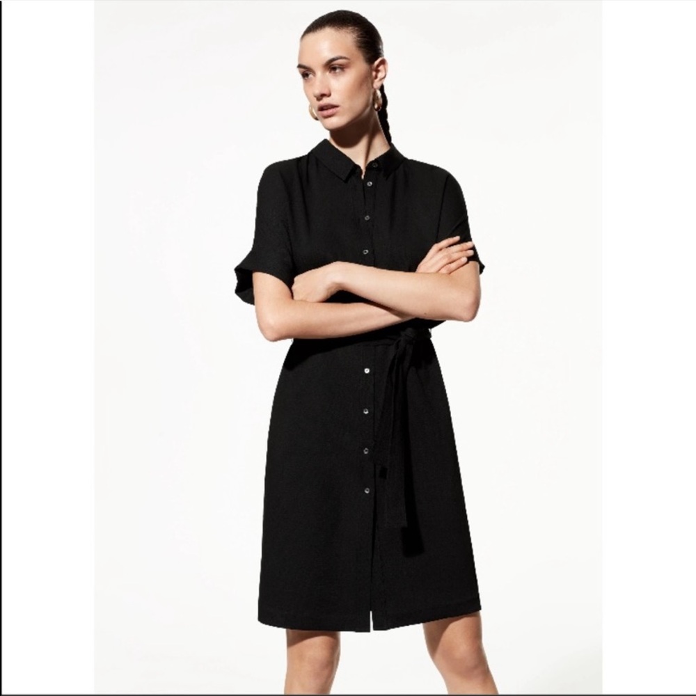 Aritzia Babaton the Glen dress button down belted